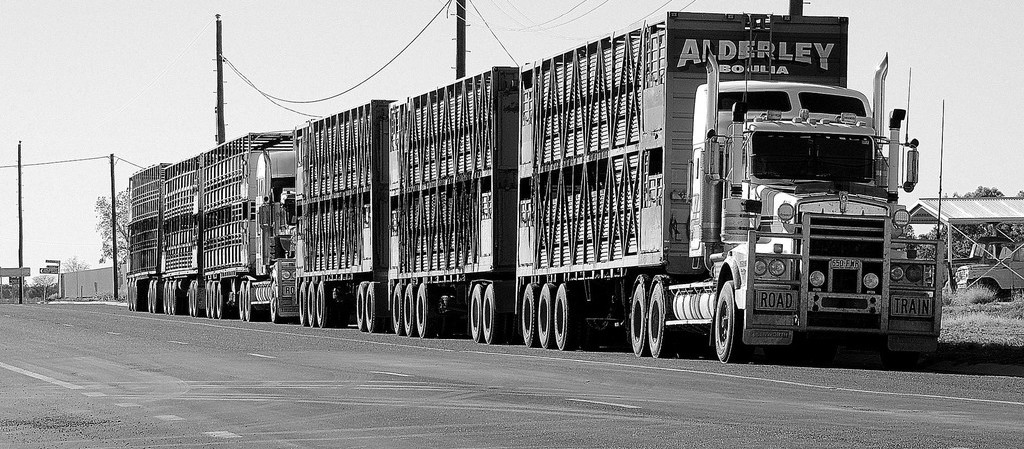 doft-5-tips-for-trucking-companies-to-successfully-increase-profit